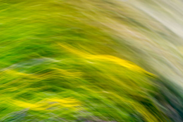 istock defocused colorful nature background 821153800