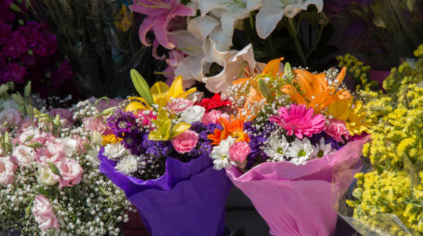 istock Beautiful flowers of various types 821154120