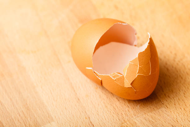 istock Detailed closeup of empty cracked eggshells 821154522