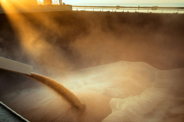 Loading of wheat on the ship Filling the hold. The wheat in bulk. bulk carrier stock pictures, royalty-free photos & images