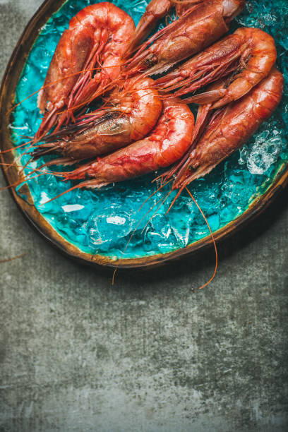 istock Raw uncooked red shrimps on ice, grey concrete background 821177082