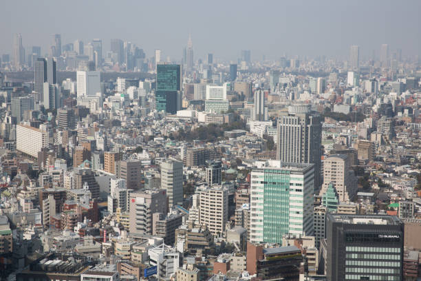 istock Tokyo Skyline in Japan 821179958