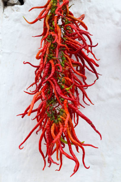 красный сухой перец висит на стене - pepper spice dried plant image стоковые фото и изображения