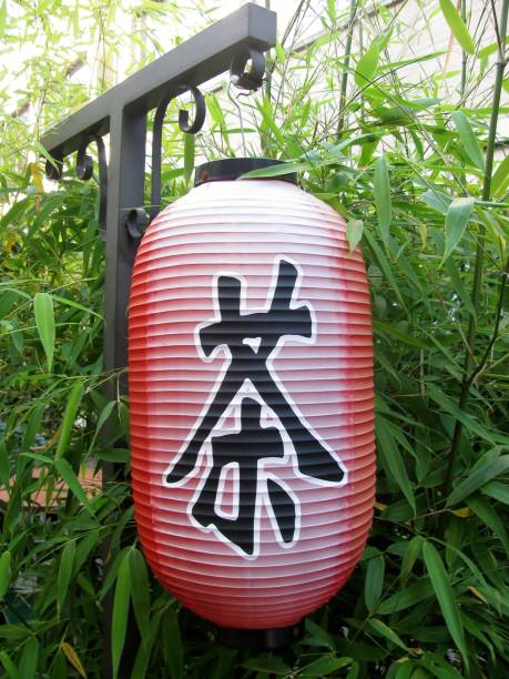 Asian red paper lantern against green bamboo shoots Asian red paper lantern against green bamboo shoots east vancouver stock pictures, royalty-free photos & images