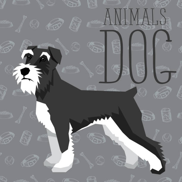 Vector Dogs Collection Vector geometric dogs collection with seamless background. Miniature Schnauzer schnauzer stock illustrations