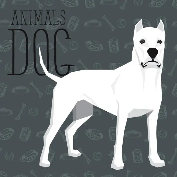 Vector illustration of Vector Dogs Collection