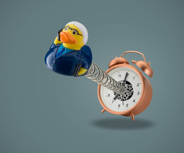 istock rubber duck business man springing out of alarm clock 821187794