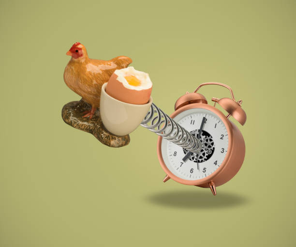Hen Egg cup springing out of alarm clock stock photo
