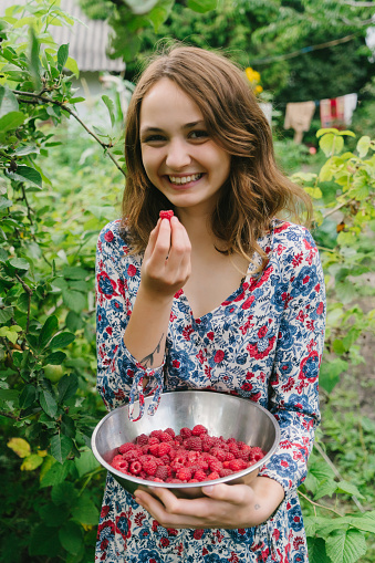 Young Caucasian woman picking raspberry in the countryside