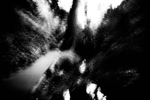 Intentional camera movement photos in black and white. Trees and footpaths.