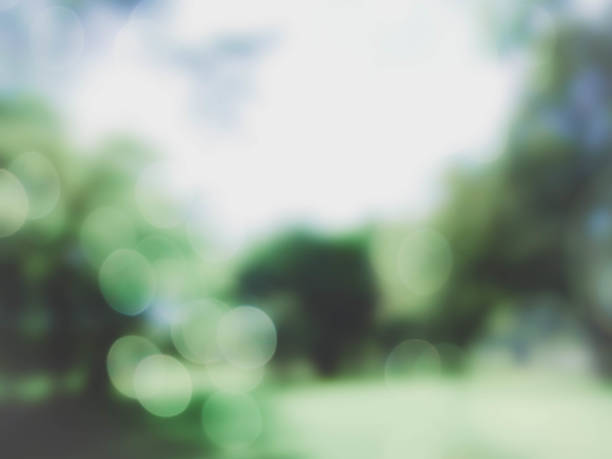 istock Blur photo of trees and sky. 821202350