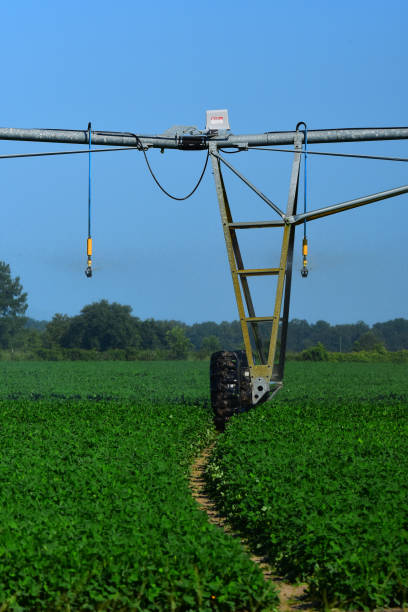 istock Water droplets frozen mid-air in circular irrigation operation 821205834