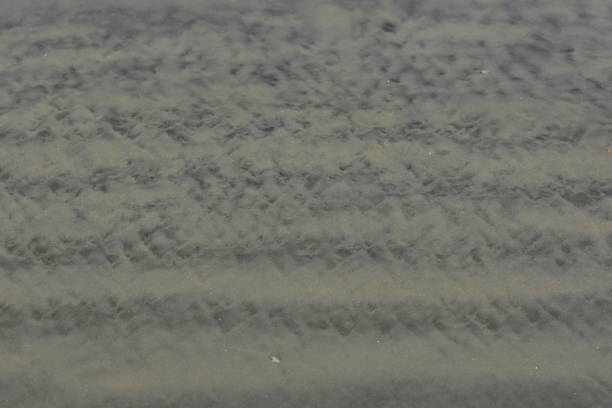 istock Mottled sand lines on beach after wave wash 821206602
