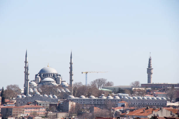 istock Ottoman style mosque in Istanbul 821207376