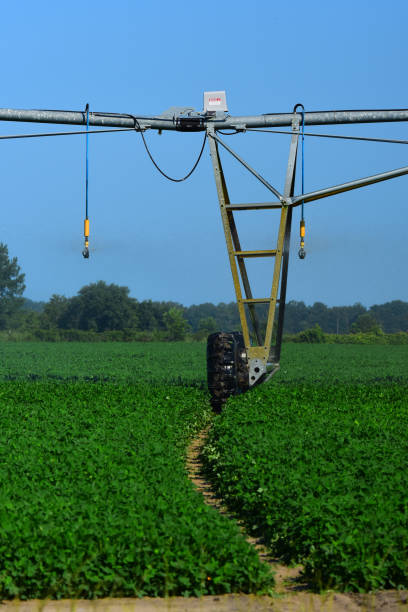 istock Water droplets frozen mid-air in circular irrigation 821209732