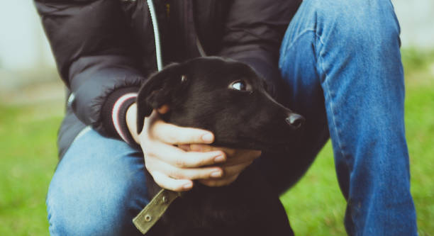 istock Holding a small dog by the neck 821220394
