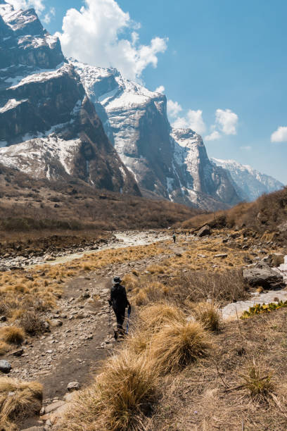 istock a trekking woman alone on the mountain 821221600
