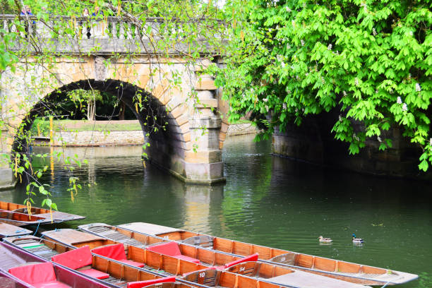 oxford punts pod mostem magdalen - punting zdjęcia i obrazy z banku zdjęć