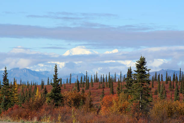 istock Denali National Park in autumn 821231866