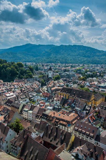 istock Freiburg city overview from top of cathedral 821232268
