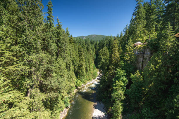 istock Capilano River on sunny day in Vancouver 821238994