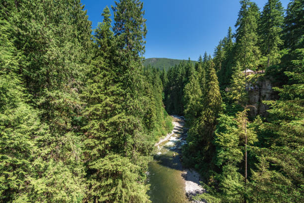 istock Capilano River on sunny day in Vancouver 821239154