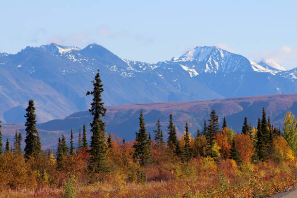 istock Denali National Park in autumn 821242102