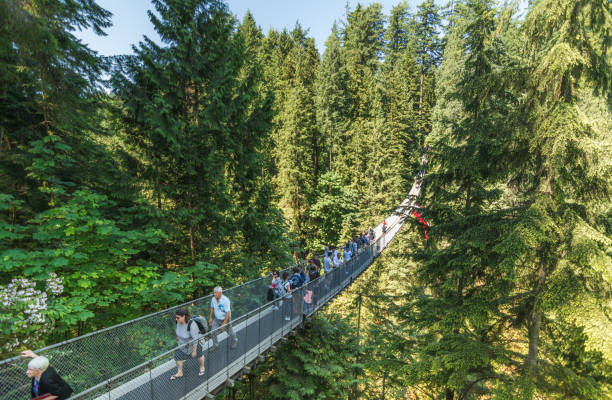 pessoas que atravessam a famosa ponte suspensa capilano em um dia ensolarado - vancouver suspension bridge bridge people - fotografias e filmes do acervo