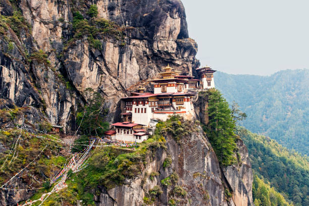 Taktshang Goemba - Tiger’s Nest Monastery Taktshang Goemba or Tiger"u2019s Nest Monastery was blessed and sanctified as one of Bhutan"u2019s most sacred religious sites. It hangs on a cliff and stands above a beautiful forest of blue pine and rhododendrons. taktsang monastery photos stock pictures, royalty-free photos & images