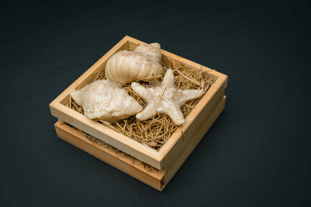 istock seashells in wood box black blackground 821254926