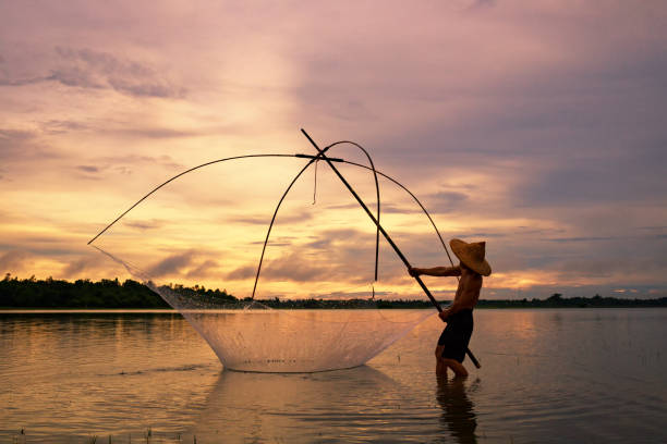 Fisherman on silhouette sunrise with gear fishing Fisherman on silhouette sunrise with gear fishing on the lake is a culture of Thai or Laos people's bantam stock pictures, royalty-free photos & images