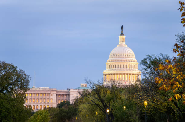 istock Capitol Building in Washington DC at Dusk 821257982
