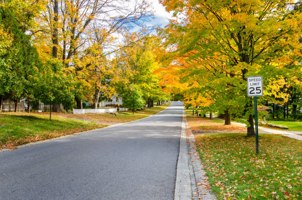 istock Street Lined with Colourful Autumnal Tree through a Tranquil Residential District 821257990