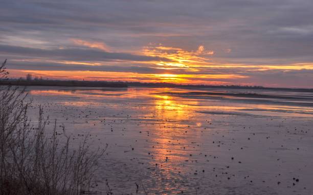 istock Sunset in the lake 821258886