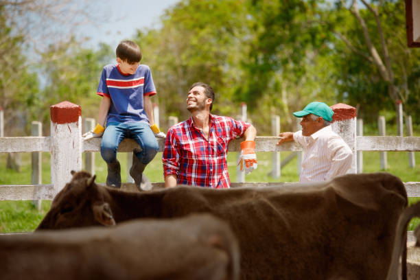 trzy pokolenia rodzina rolników śmiejących się w gospodarstwie - farmer farm family son zdjęcia i obrazy z banku zdjęć