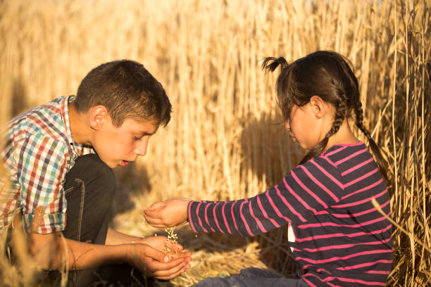 istock The wheat field brothers play 821261352