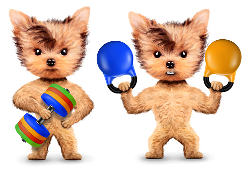 Funny puppy dog in spacesuit playing with basketball, 3d illustration render