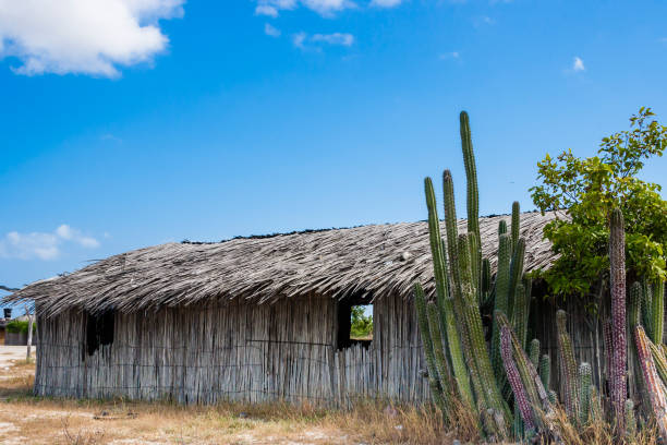 Traditional guadua wood house at La Guajira, Colombia