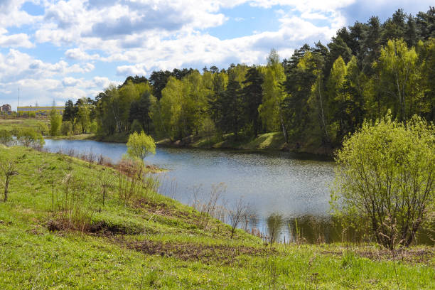 istock River in the forest. Russia. Moscow region 821281624