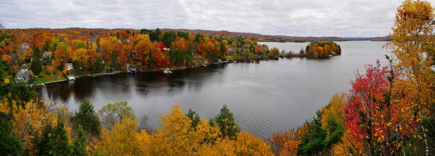 istock Autumn landscape  with lake and trees 821283002