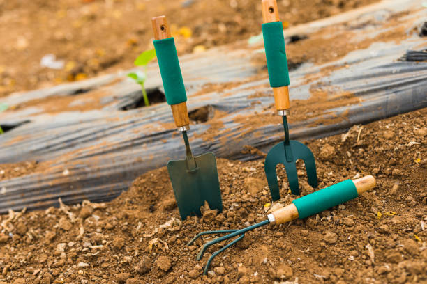istock Transplant of a tree and garden tools on a white background concept for environment conservation 821296174