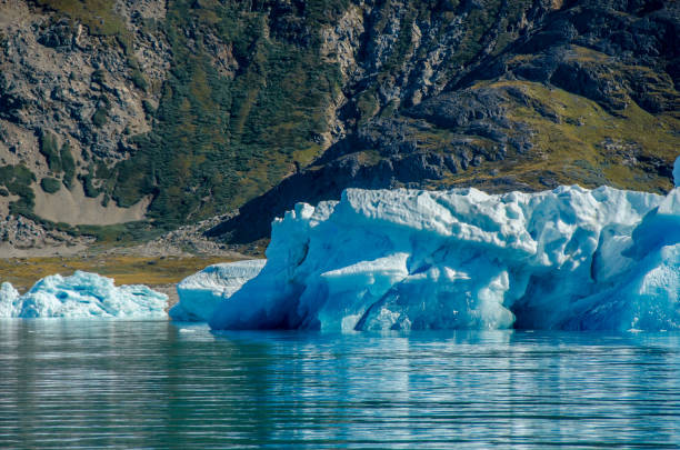 istock Small icebergs and reflections near the coast 821298626