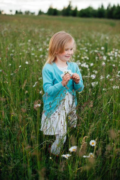 istock Little girl in a chamomile field 821300100