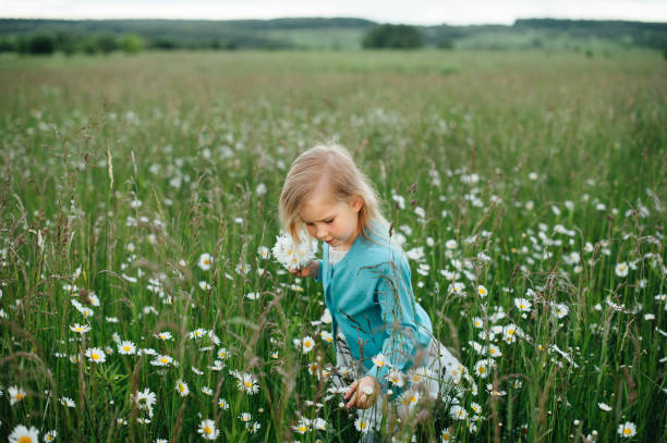 istock Little girl in a chamomile field 821300126