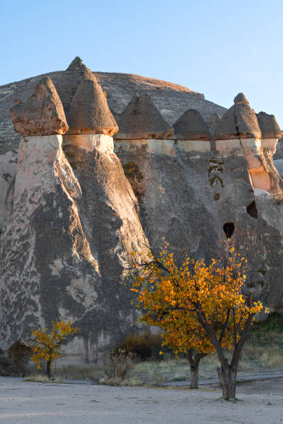 Volcanic rock formations known as fairy chimneys in Cappadocia, Turkey.