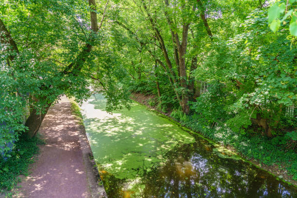 istock Delaware Canal Towpath, New Hope, PA 821308426