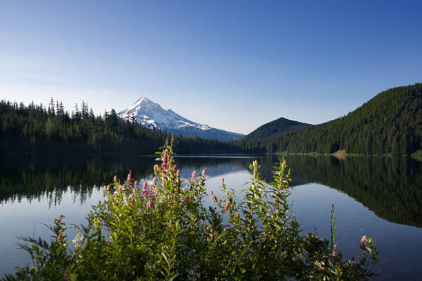 istock Lost Lake F 821312912