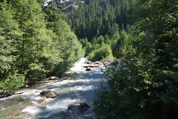istock Tamanawas Falls Trail A 821318022