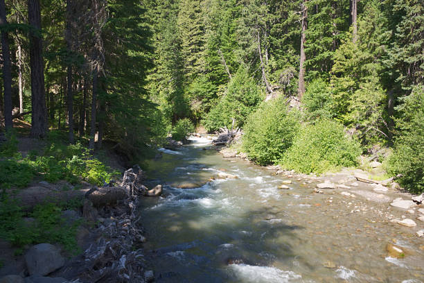istock Tamanawas Falls Trail B 821318070