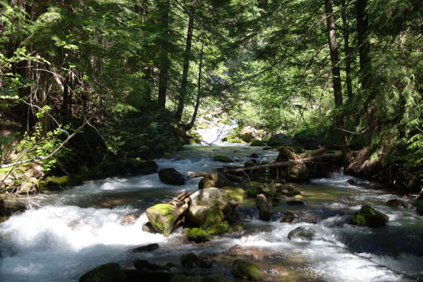 istock Tamanawas Falls Trail G 821318340